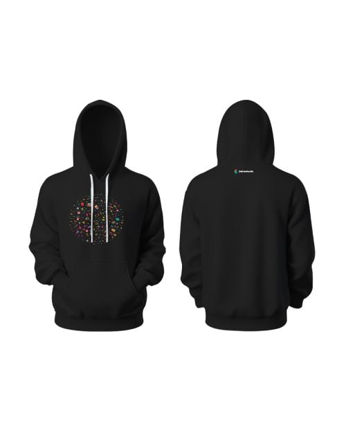 Greys&Blues Pichkari Goodie Hoodie Plain - Black
